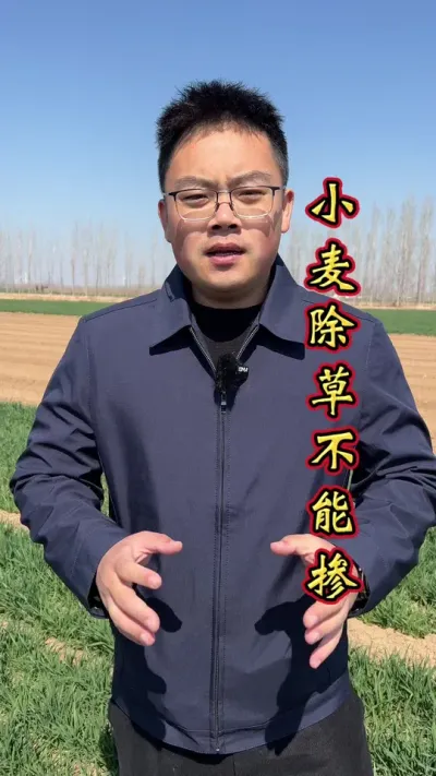 小麦除草剂不能和这些东西混配。#小麦增产 #小麦除草剂 #小麦增产增收 #除草剂 #小麦高产技术