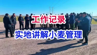 工作记录，实地讲解小麦春季管理 工作记录，实地讲解小麦春季管理#小麦种植 #小麦种植管理技术 #马哥聊农业 #小麦高产技术 #农技知识分享