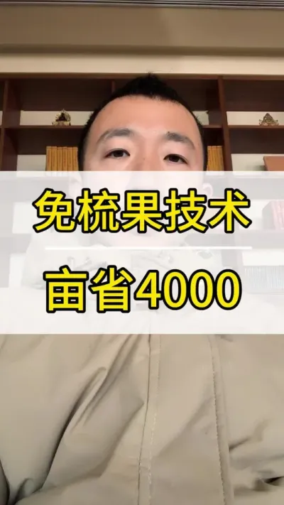 免梳果技术 #葡萄种植技术 #新农人计划2022 #阳光玫瑰葡萄 #抖音助农 #三农