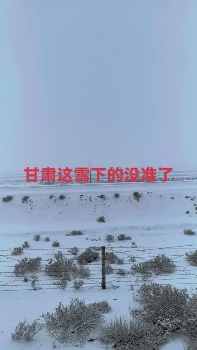 甘肃的雪下的也是没准了