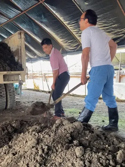 气候这么好，抓生产育种苗，少不了蚯蚓粪，强茎健杆 #一份耕耘一份收获 #蚯蚓粪 #蚯蚓有机肥