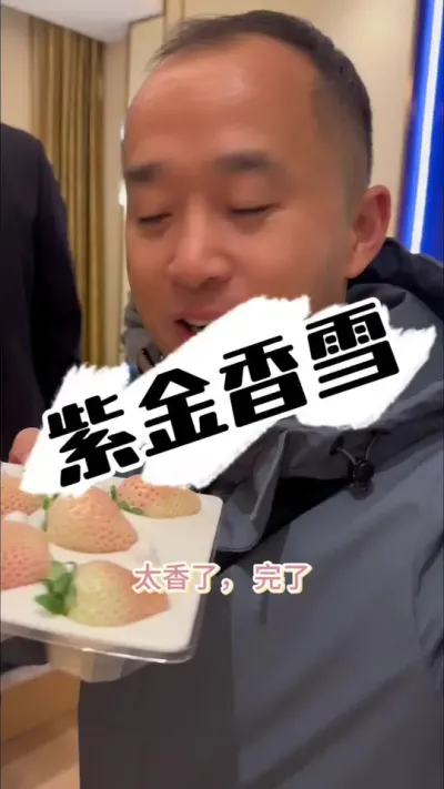 草莓新品种：紫金香雪 庆哥抢先吃，好品种紫金香雪#草莓种植 #草莓园 #种草莓 #草莓 #草莓新品种