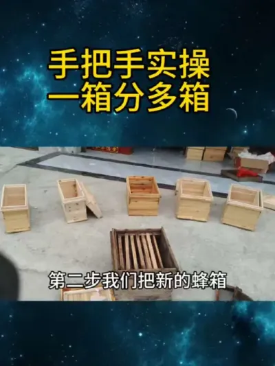 手把手实操一箱分多箱 #养蜂技术分享 #养蜜蜂新手入门教程 #农村养蜂人 #经验分享 #知识分享