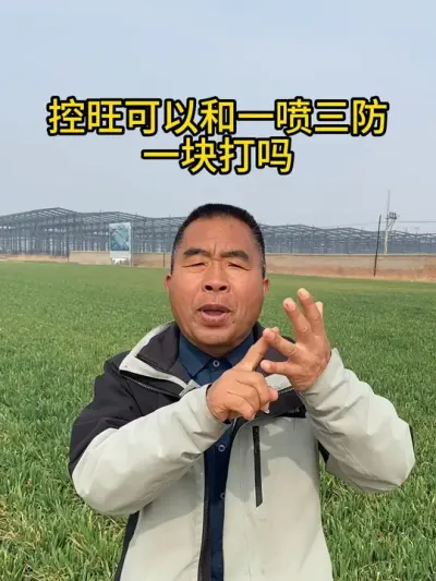 控旺可以和一喷三防一块打吗 #小麦 #控旺 #小麦种植 #小麦管理 #服务三农支持三农