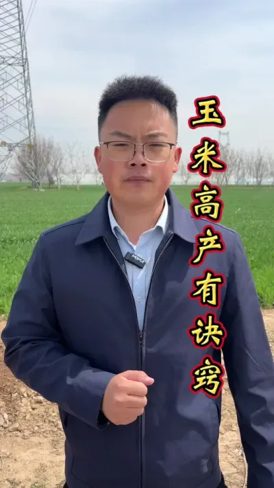 玉米科学管理，增产丰收多卖钱！#增产增收才是硬道理 #玉米高产种植技术 #玉米种植 #玉米高产#玉米种植技术