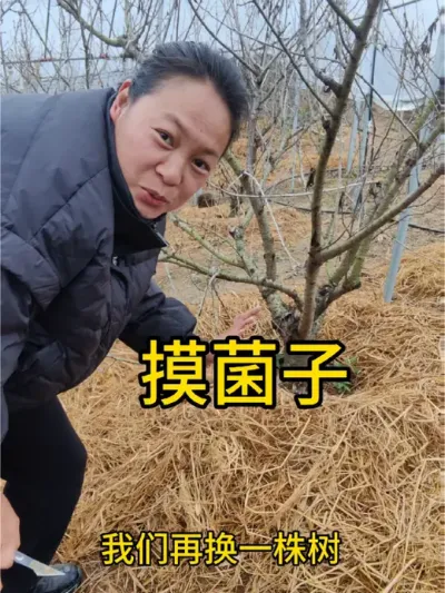 2024年只剩最后半个月了，去年的这个时候还在想，今年一定把帐还清，但是没想到的是老帐未还又添新帐，拆东墙补西墙，窟窿越补还越多，说实话真的很累，满脑子都是，以后的路该如何走，不管这一年好与坏，都即将