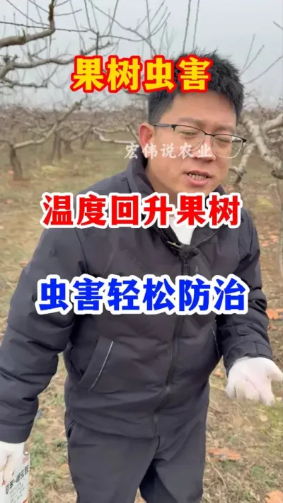果树虫害轻松防治。 #果树种植 #服务三农支持三农 #抖音助农   #果园管理   #果树病虫害