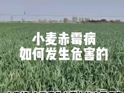#新农人计划 #一份耕耘一份收获 #原创视频 #抖音助农#农业人话农业