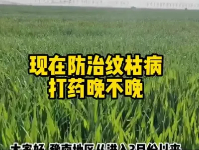 #抖音助农 #原创视频 #农业人话农业#田间地头走一走