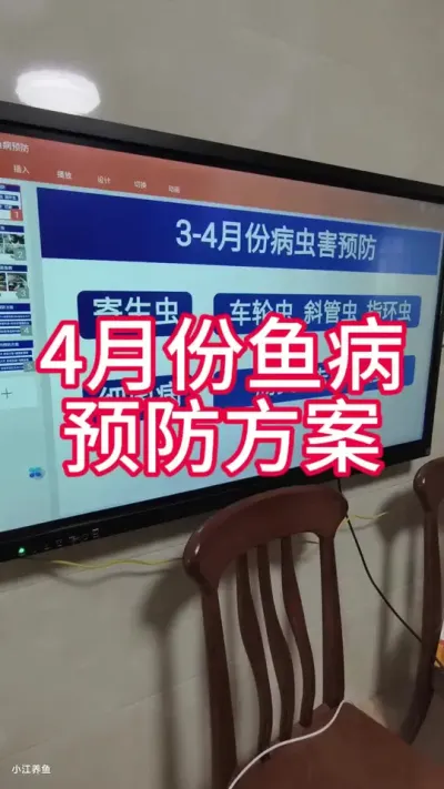 3-4月份水产养殖病虫害预防方案#鱼病防治 #烂鳃