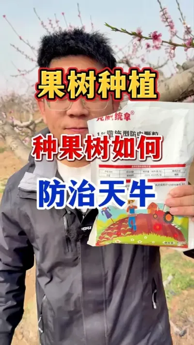 果树天牛防治。 #果树种植 #果园管理   #果树病虫害防治   #农业种植