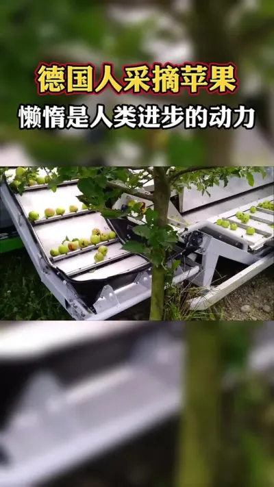德国人是如何采摘苹果的呢？#德国 #苹果采摘机 #现代化农机 
