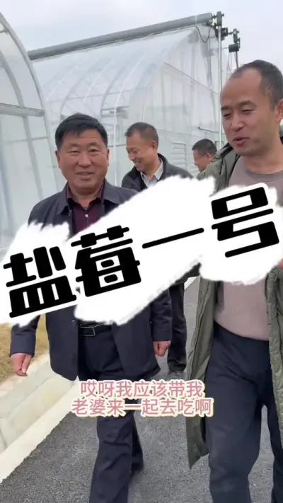 盐莓一号，这两天很火 劳模推荐，草莓好品种，盐莓一号#草莓种植 #2024新农人计划 #草莓园 #种草莓 #草莓
