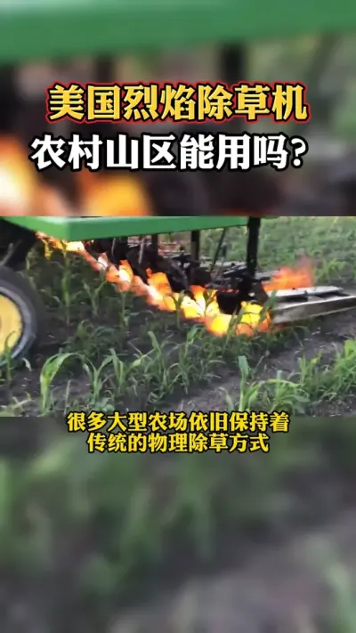 美国烈焰除草机2000度高温除草、杀菌，这样做真的环保吗？在我国可以用的上吗？#除草 #火焰除草 #现代化农业 