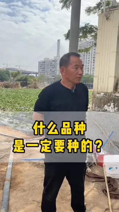 种草莓什么品种是一定要种的？#草莓种植 #草莓 #农业 #红颜