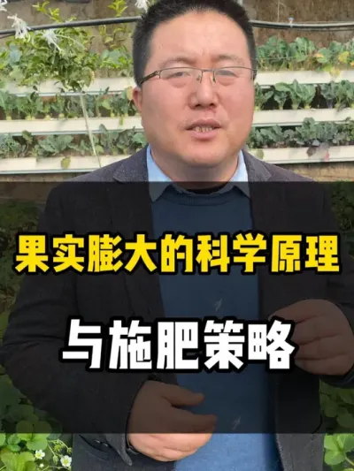 果实膨大的科学原理和施肥策略 #果实膨大 #膨大 #膨大果实 #膨大增甜 #龙岳农科