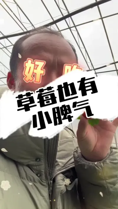草莓公主也有小脾气，畸形果 草莓畸形果、耍脾气的小公主#草莓种植 #种草莓 #草莓采摘园 #草莓 #草莓熟了