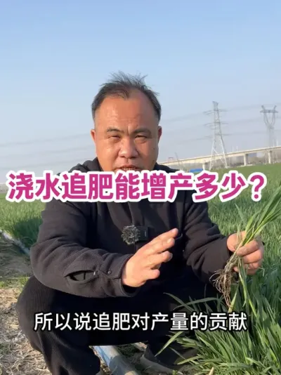 浇水追肥能增产多少？ 理解这个视频，辛苦前心里亮堂，给浇水提供精神动力。#分享农业知识帮助农民增产增收