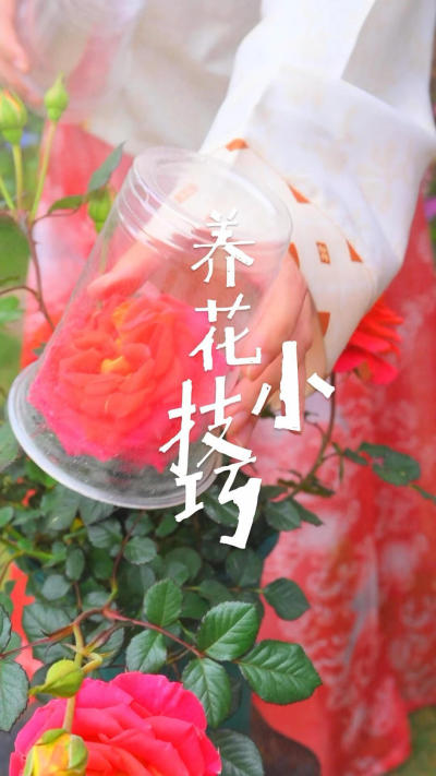 这些养花小技巧，99%的人都不知道！#点缀生活的鲜花[话题]# #爱生活爱养花[话题]# #养花小知识[话题]# #花卉绿植[话题]# #养花知识分享[话题]# #园艺[话题]# #爱养花爱生活[话题