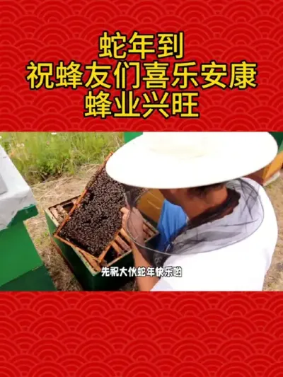 蛇年到，祝蜂友们喜乐安康、蜂业兴旺 蛇年到，祝蜂友们喜乐安康、蜂业兴旺#养蜂新年祝语#人旺蜂旺一切旺#事事旺 #养蜂人新年快乐