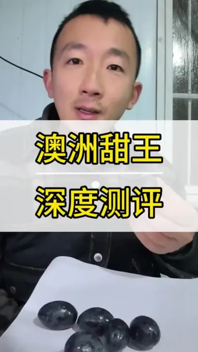 澳洲甜王怎么样 #葡萄种植技术 #新农人计划2022 #阳光玫瑰葡萄 #抖音助农 #三农
