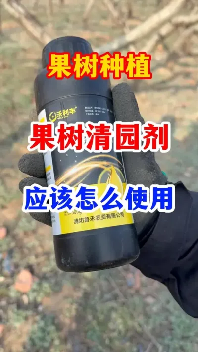 果树清园做得好，产量一定少不了。 #果树种植 #病虫害防治 #抖音助农   #果园管理   #果树清园