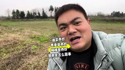 我们看养殖不能只盯着表面看，要总结起来看，原理明白了大体就知道了，剩下的才是积累经验#小龙虾养殖 #油菜养虾 #黑麦草养虾 #油草养虾 #棒棒草养虾