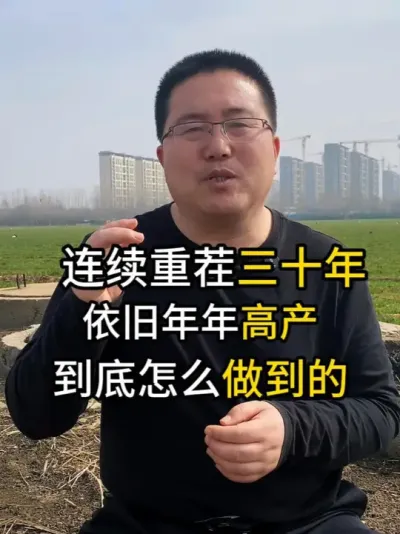 连续重茬三十年，年年都能高产，到底是怎么做到的 #重茬 #重茬地 #重茬病 #重茬种植 #有机肥