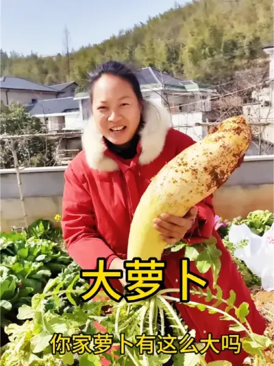 大萝卜#我为家乡农产品代言 #支持三农扶持三农发展 #一分耕耘一分收获 @抖音小助手