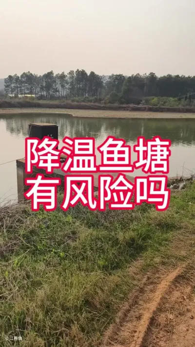 降温，养鱼人该注意什么？#水产养殖 #降温水产养殖该注意什么