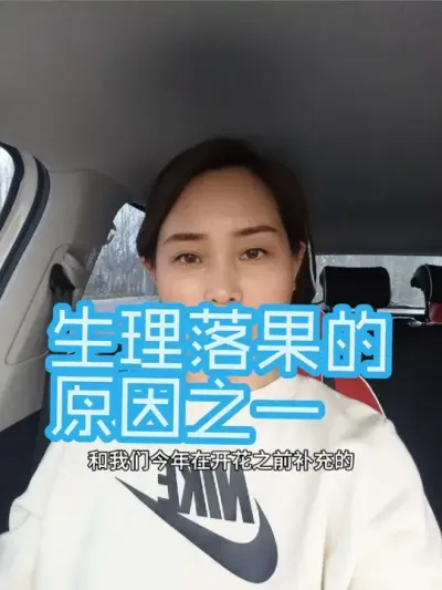 生理落果的原因之一#农业种植#果树管理#落花落果#优质农产品