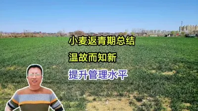 小麦返青期总结，温故而知新，提升管理水平 小麦返青期总结，温故而知新，提升管理水平#小麦种植 #小麦种植管理技术 #马哥聊农业 #小麦高产技术 #农技知识分享