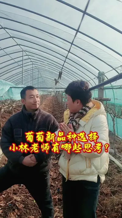 #后阳光时代  对于#葡萄新品种 的选择，大家都有什么看法？#抖音助农 #新农人计划 #服务三农支持三农