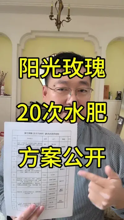 2025最新高品质阳光玫瑰20遍水肥方案公开#阳光玫瑰