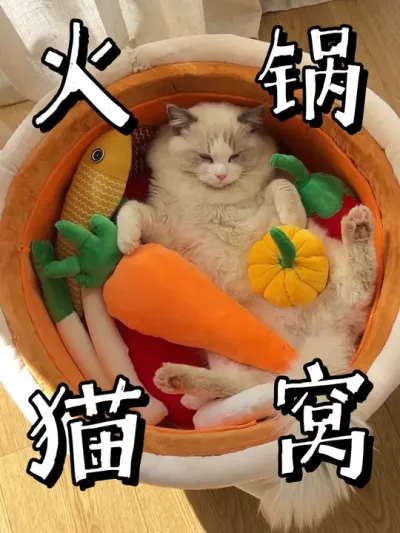 我花了两天时间做了口锅，把我们家的小猫给炖了#猫窝#帕特生命猫粮 #手工diy #猫咪 #猫窝制作