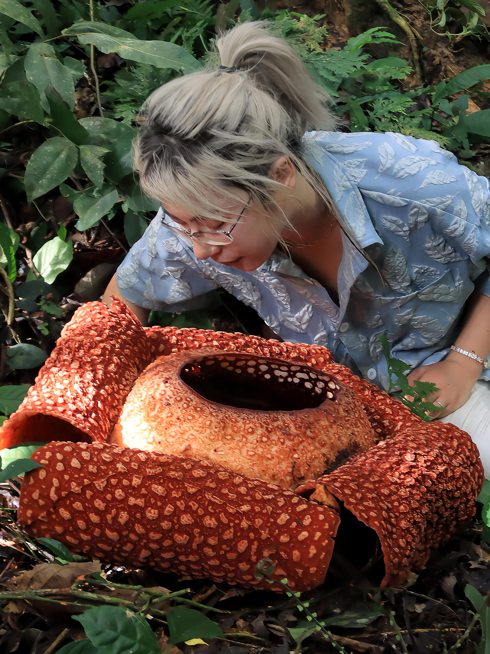 http://static.ixuenong.com/pxn/uploads/prod/thirdfile/2025/04/36a870010467c865102e70acd6beaf82.jpg