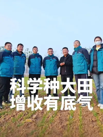 不好意思各位，11 万多是我的口误[尬笑]！是一米内 113 颗小麦。所以口误 11 万多就脱口而出了。我们这块地是 40 万左右的基本苗。
科学种大田，增收才有底气！做你该做的！因上努力，即便天公不