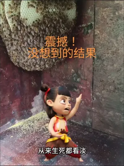 震撼！没想到的结果 #诱蜂 #户外找蜂 #如何找蜂收蜂 #诱蜂箱 #诱蜂桶