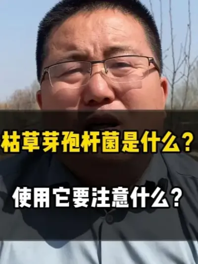 枯草芽孢杆菌是什么？使用它要注意什么？ #枯草芽孢杆菌 #枯草芽孢杆菌的作用 #种植技术 #种植小技巧 #农业种植