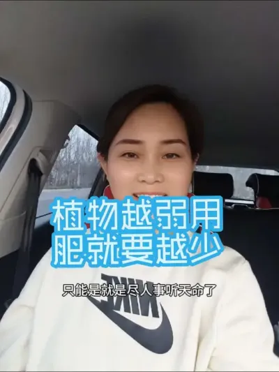 原理上植物越弱对于水肥的吸收能力就越弱，所以出现植株弱化的表现，要少量多次使用营养物质，而不是一次给太多，反而容易有副作用#农业种植 #优质农产品