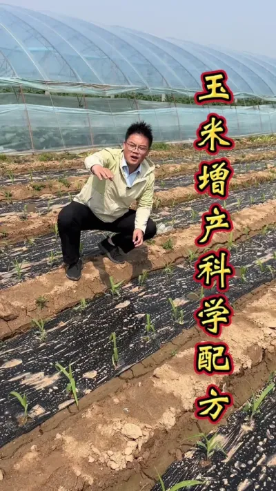 品牌选择很重要，大厂正品要知道。质量售后有保障，增产丰收有小王。点击进入橱窗，选购玉米专用产品吧！#增产增收才是硬道理 #帮助农友们增资增产 #玉米高产 #玉米高产种植技术 #玉米种植