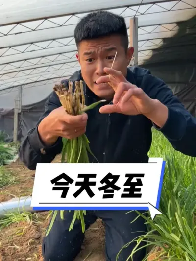 今天冬至割韭菜包水饺，发财啦 #我的乡村生活 #三农 #新农人计划2024 #乡村守护人 #全国各地冬至吃什么