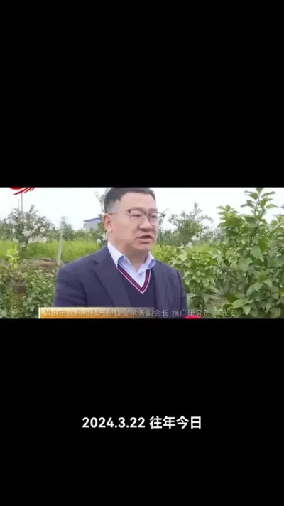 #李老师说柑桔 #眉山晚熟柑桔 #眉山春橘