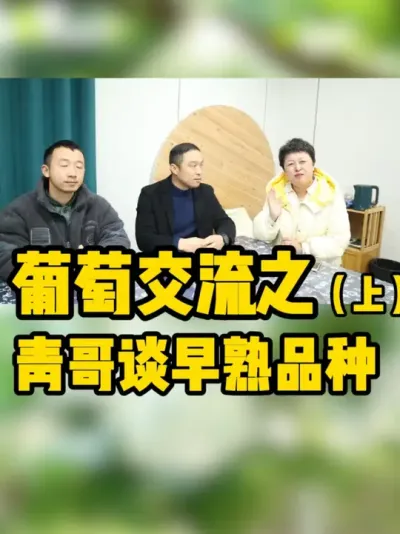 今天来讨论下早熟品种？ #阳光玫瑰 #新农人 #葡萄 #果园管理 #抖音助农