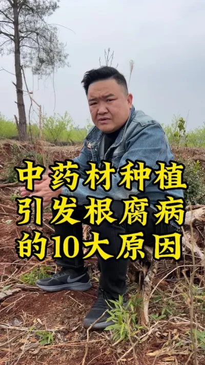 中药材种植，引发根腐病的10大原因，您知道吗？ #药材种植 #玉竹 #种植小技巧 #抖音助农 #新农人计划