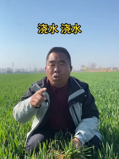 浇水，浇水！ #服务三农支持三农 #农业种植 #分享农业知识帮农民增产增收 #抖音助农 #小麦种植管理技术
