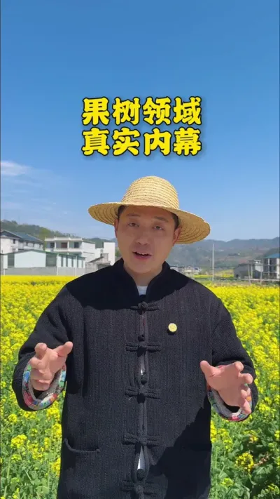 不带毛产业的真实内幕，500亩金果梨园创业史，收藏及赚到 #新农人计划2025 #返乡创业新农人 #果树种植