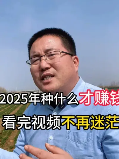 2025年种什么才赚钱，看完视频不再迷茫 #2025年种什么赚钱 #农业种植 #三农 #农业 #种植技术