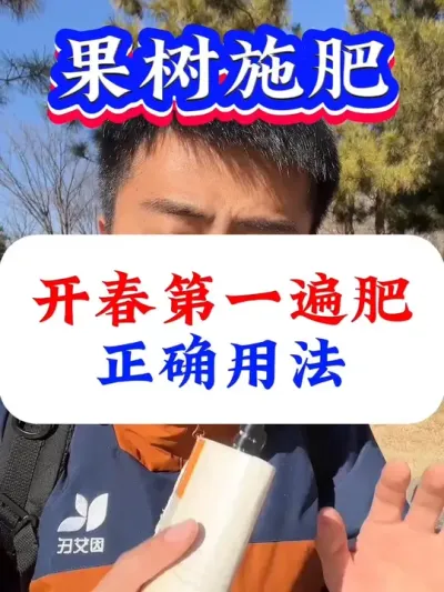 果树开春第一遍肥正确用法#果树施肥#促花保果 #花芽分化#果树种植#果树管理