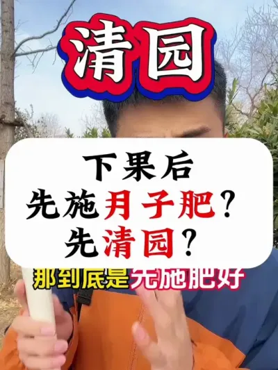 下果后，先施肥好？还是先清园好？ #果树清园 #病虫害防治 #果树种植 #果树管理 #果树管理技术